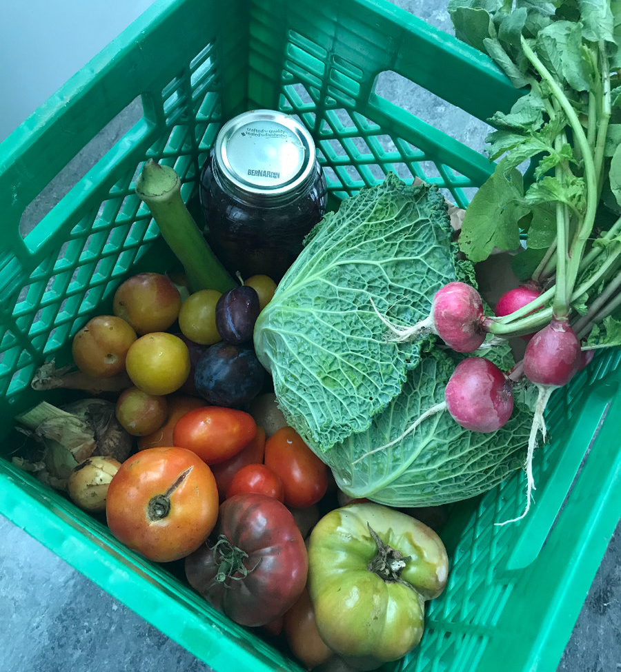 An Indigenous community food box filled with various fruits and vegetables from White Owl Native Ancestry